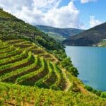 4 cosas que debes saber sobre los vinos verdes portugueses.