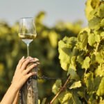 5 Vinos Blancos Afrutados Baratos y de Calidad Para el Verano