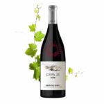 Ribera del Duero Cepa 21