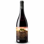 Garnacha Olvidada de Aragón