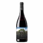 Garnacha Salvaje del Moncayo
