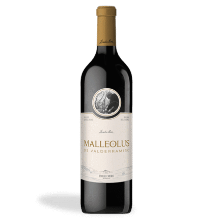 Malleolus de Valderramiro